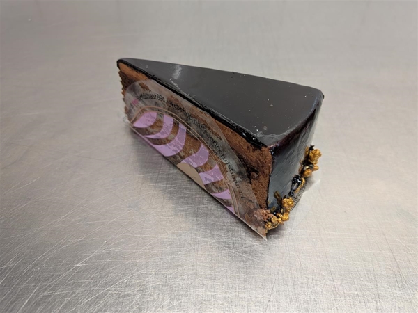 Sacher punt